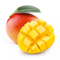 70 gramme(s) de purée de mangue