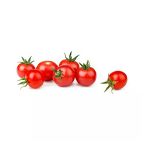 30 tomate(s) cerise